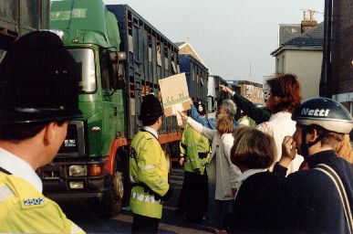 Live export convoy